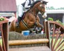 jumper Quadoro K (Holsteiner, 2011, from Quadros 3)