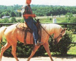 horse J.Zip and Glo (Quarter Horse, 1991, from Zippo Pine Bar)