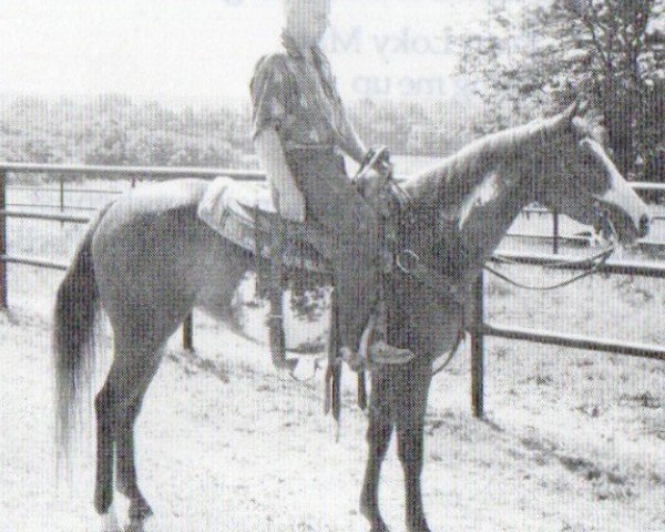 horse Three Doc Sue (Paint Horse, 1992, from Doc's Lynx)