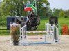 jumper Zivil Code (Oldenburg show jumper, 2018, from Zapatero VDL)