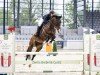 jumper Katootje (KWPN (Royal Dutch Sporthorse), 2015, from Andiamo)