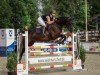 Springpferd Elions Electra (KWPN (Niederländisches Warmblut), 2017, von Elion V)
