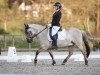 dressage horse Freddy de Luxe (Konik, 2013)