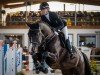 Springpferd Jarona (KWPN (Niederländisches Warmblut), 2014, von Glock's Dream Boy)