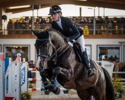 jumper Jarona (KWPN (Royal Dutch Sporthorse), 2014, from Glock's Dream Boy)