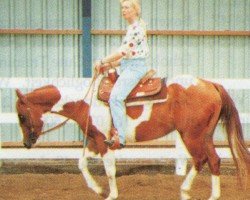 horse Sonny (Paint Horse, 1993, from Sonny Dee Bar)