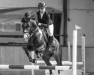 Deckhengst Big Bamboo Zv WE (Deutsches Reitpony, 2016, von Best Boy)