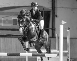 stallion Big Bamboo Zv WE (German Riding Pony, 2016, from Best Boy)