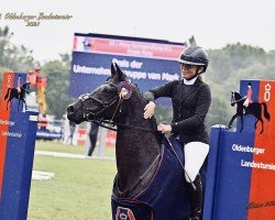 jumper Kendrick (German Riding Pony, 2011, from Kennedy WE)