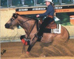 Pferd Jack Over Dun It (Quarter Horse, 1997, von Hollywood Dun It)