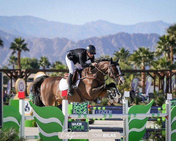 jumper For Gold (Holsteiner, 2011, from For Fashion)