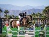 jumper For Gold (Holsteiner, 2011, from For Fashion)