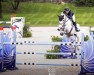 jumper Freesby de Vy (R.O.) (Belgium Sporthorse, 2011, from Deister)