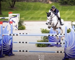 jumper Freesby de Vy (R.O.) (Belgium Sporthorse, 2011, from Deister)