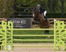 Springpferd Santauer (Oldenburger Springpferd, 2009, von Sanvaro)
