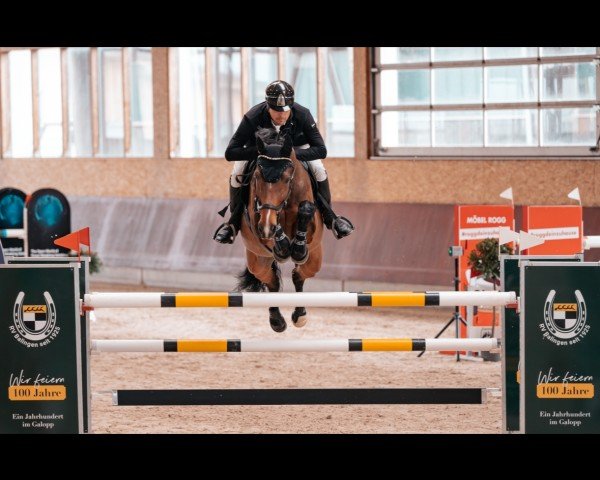 jumper Lord of The Dance 37 (Oldenburg, 2007, from Lord Pezi)