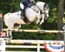 jumper Dacantos (KWPN (Royal Dutch Sporthorse), 2008, from Up To Date)