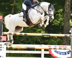 jumper Dacantos (KWPN (Royal Dutch Sporthorse), 2008, from Up To Date)