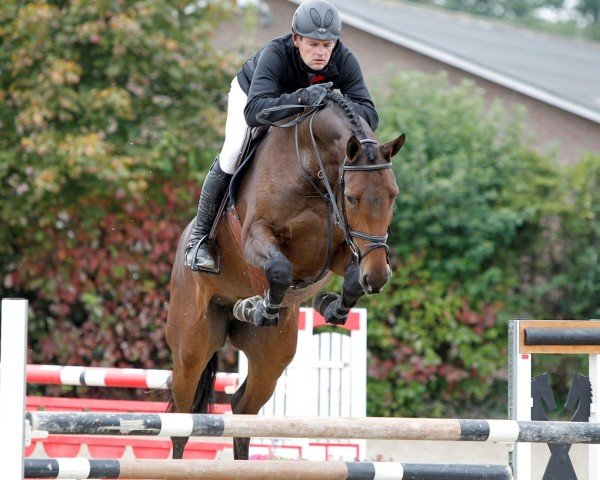 broodmare Dokyra Fortuna (KWPN (Royal Dutch Sporthorse), 2008, from Canturano I)