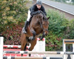 broodmare Dokyra Fortuna (KWPN (Royal Dutch Sporthorse), 2008, from Canturano I)