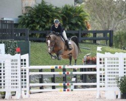 jumper Cocarie (KWPN (Royal Dutch Sporthorse), 2007, from Ad Unaniem)