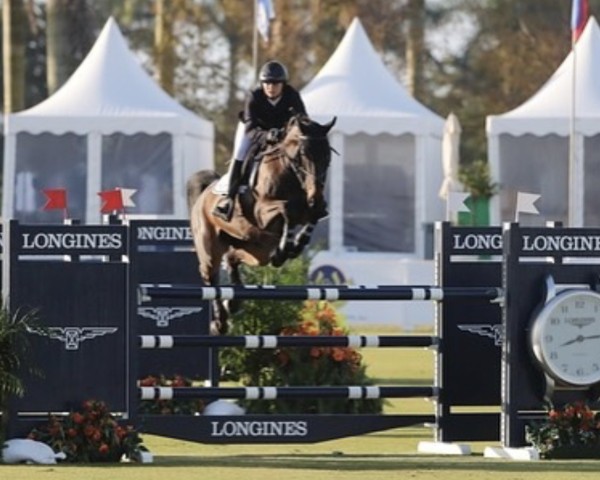 jumper Easton (Oldenburg show jumper, 2009, from Contender)