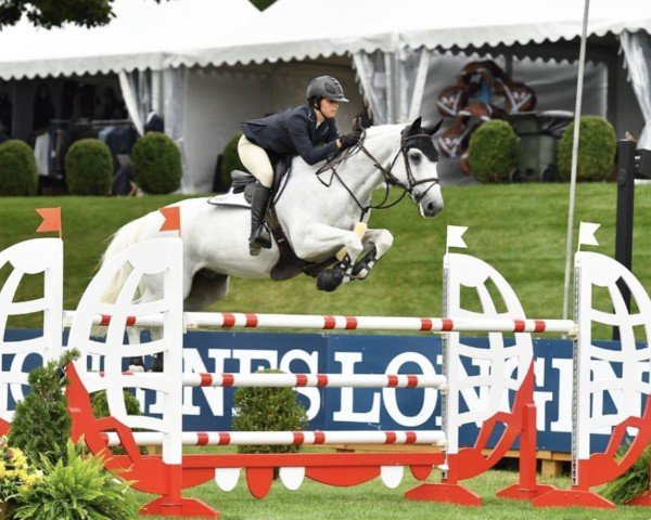 jumper Valdato (KWPN (Royal Dutch Sporthorse), 2002, from Emilion)