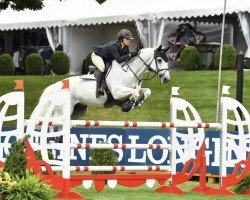 jumper Valdato (KWPN (Royal Dutch Sporthorse), 2002, from Emilion)