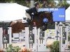 jumper Dartagnan (KWPN (Royal Dutch Sporthorse), 2008, from Douglas)