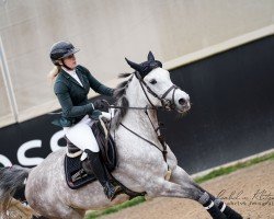 jumper One of us AD (anglo european sporthorse, 2019, from Emir R)