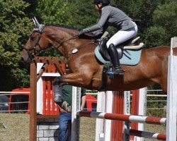 Springpferd Cavaliers Choice 3 (Irish Sport Horse, 2015, von Corrib Cavalier)