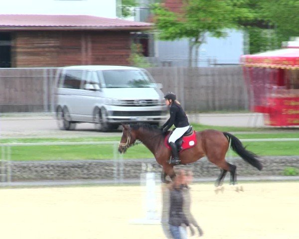 Reitturnier Ingolstadt-Hagau/Obb. 2025
