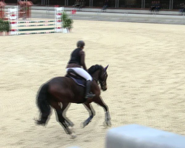 Reitturnier Ingolstadt-Hagau/Obb. 2025