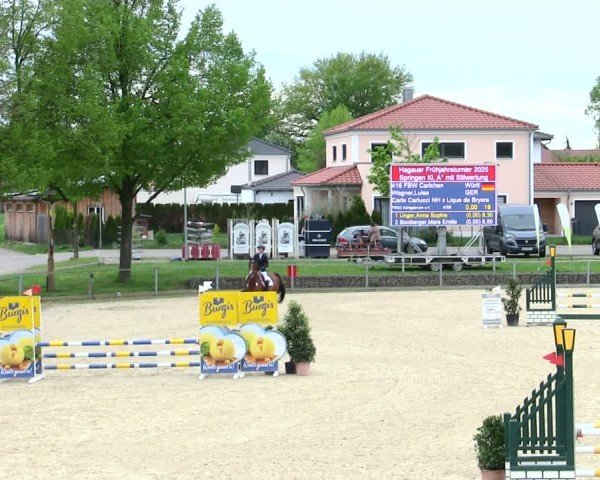 Reitturnier Ingolstadt-Hagau/Obb. 2025