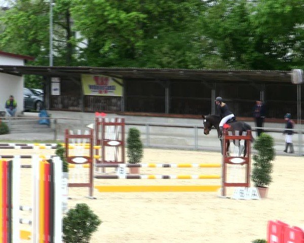 Reitturnier Ingolstadt-Hagau/Obb. 2025