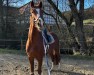 Dressurpferd Quäntchen Glück 34 (Deutsches Sportpferd, 2018, von Quaterhall)