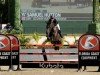 broodmare Leeuwin van de Moerhoeve (Belgian Warmblood, 2011, from Diamant de Semilly)