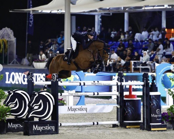 jumper Calvaro 71 (Holsteiner, 2016, from Cascadello)