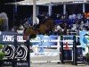 jumper Calvaro 71 (Holsteiner, 2016, from Cascadello)