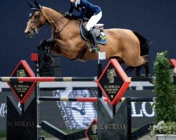 jumper Zara de Laubry Z (Zangersheide riding horse, 2011, from Zandor Z)