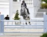 Springpferd APG Everlasting Love (KWPN (Niederländisches Warmblut), 2009, von Berlin)