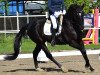 dressage horse My Flair (Hanoverian, 2017, from E.H. Millennium)