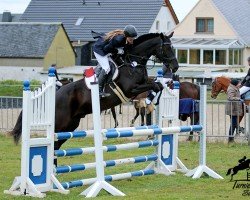 jumper Spartakus 45 (German Sport Horse, 2017, from Shomari S)