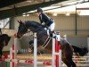 jumper Rosenkavalier 25 (German Sport Horse, 2019, from Cosirit)