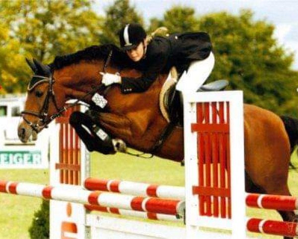 stallion Notre Plaisir (German Riding Pony, 1997, from Notre Beau)