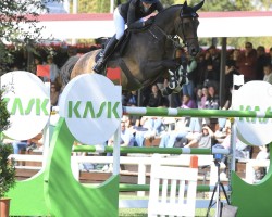 jumper Like Me Mb (KWPN (Royal Dutch Sporthorse), 2016, from Quasimodo Z)