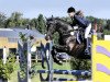 jumper Florida 133 (German Sport Horse, 2010, from Fly High)