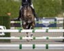 broodmare Etoile de La Roche (Selle Français, 2014, from Qlassic Bois Margot)