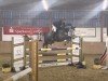 Springpferd Mallacoota Wvs (Oldenburger Springpferd, 2018, von Million Dollar)