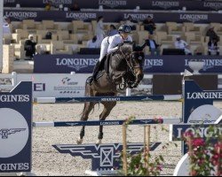 jumper Komme Vous (KWPN (Royal Dutch Sporthorse), 2015, from Comme il Faut)
